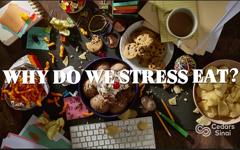 The Weight of Stress teaser image