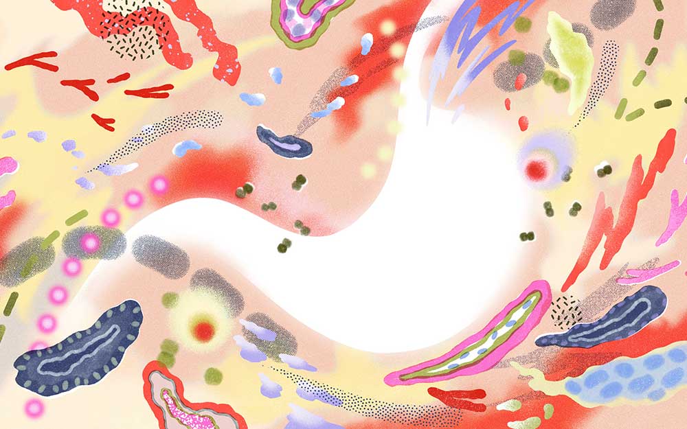 Gut Instincts: The Microbiome’s Role in Pediatric Vasculitis teaser image